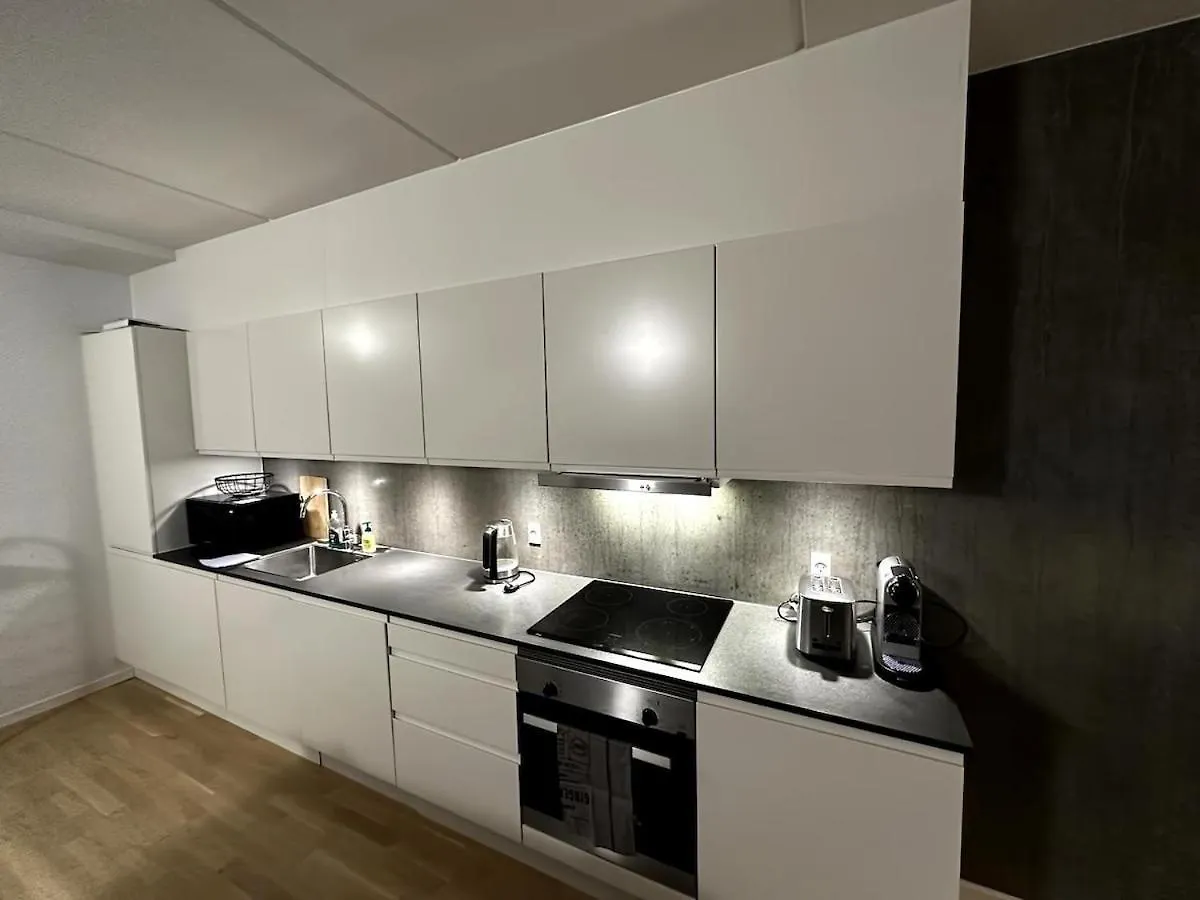 Two-Story Four-Room Apartment København